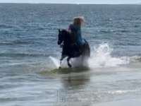 Yegua, Quarter Horse — foto 6