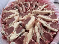 मेढ़ा, भेड़ — फ़ोटो 6
