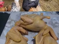 براهما — الصورة 1