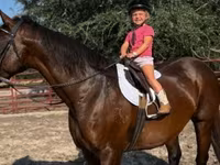 Yegua, Quarter Horse — foto 7