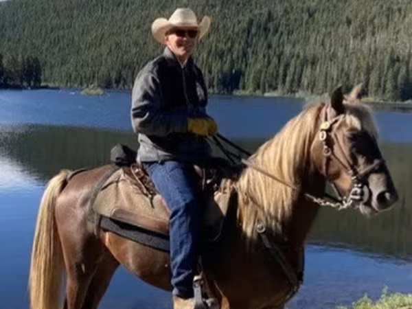 Caballo, Rocky Mountain Horse