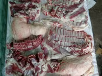 मेढ़ा, Rhon sheep — फ़ोटो 2